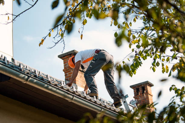 Best Roof Maintenance Services  in North Druid Hills, GA