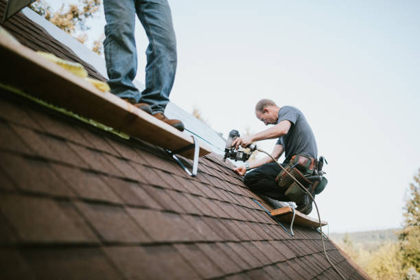 Gutter Installation and Roofing in North Druid Hills, GA